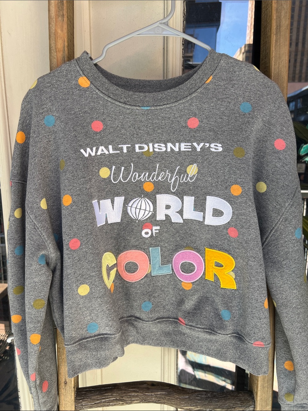 Disney Gray Polka Dot "World of Color" Crop Crewneck